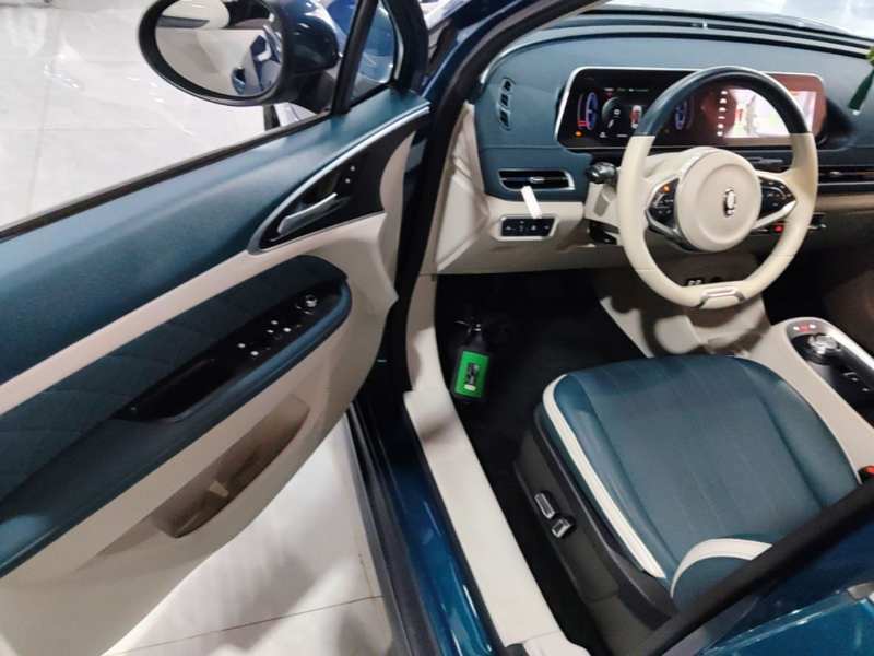 Used ORA Good Cat 2022 400km Standard Range Luxury Version Ternary Lithium — 15
