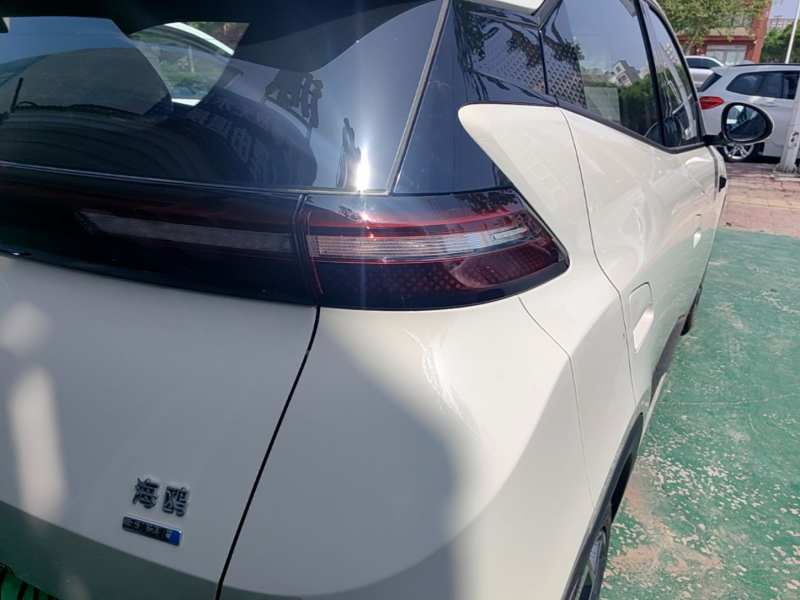 Used BYD Seagull 2025 Smart Drive Version 305 km Freedom Edition — 21