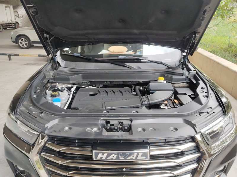 Used Haval H6 2021 National Trend Edition 1.5T Automatic Urban Version — 19