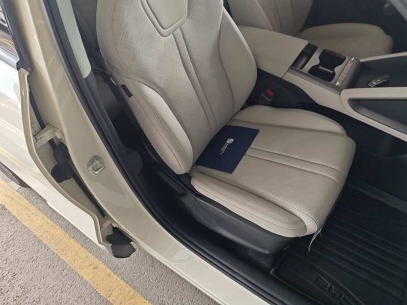 Used BYD Yuan UP 2025 Model 301KM Leading Version — 24