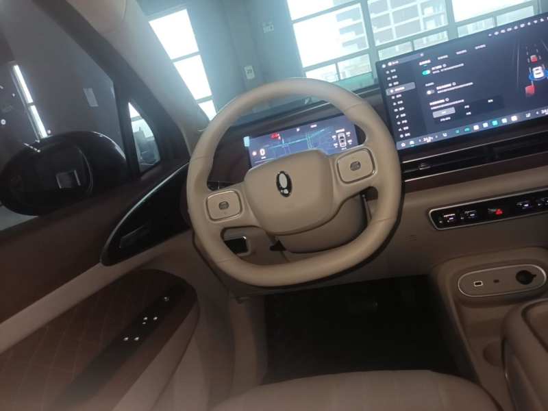 Used ORA Good Cat 2025 Model, 430 km Prestige Version — 11