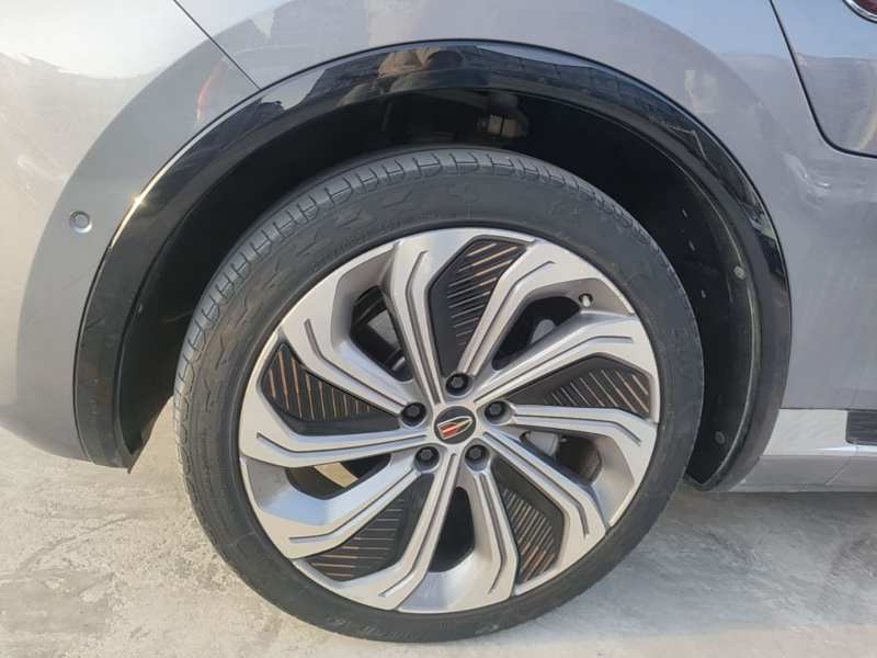 Used Hongqi E-HS9 2021 510 km Flagship Edition Four Seats — 22