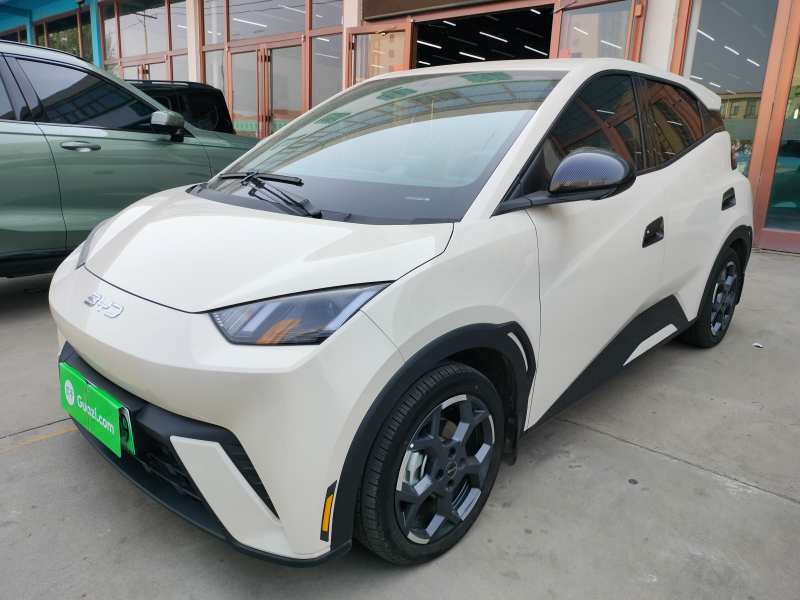 Used BYD Seagull 2025 305 km Free Version