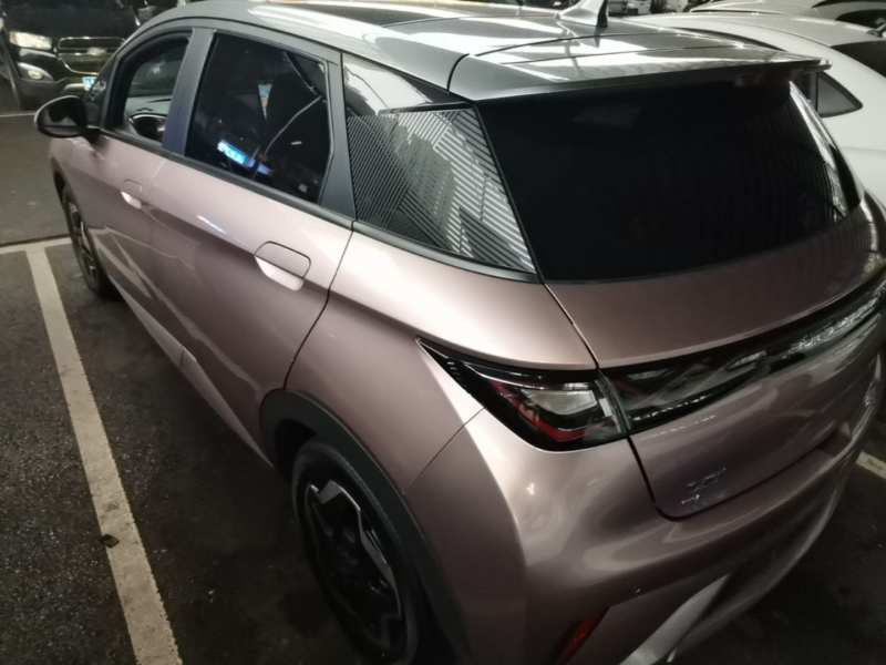 Used BYD Dolphin 2021 405 km Fashion Edition — 4
