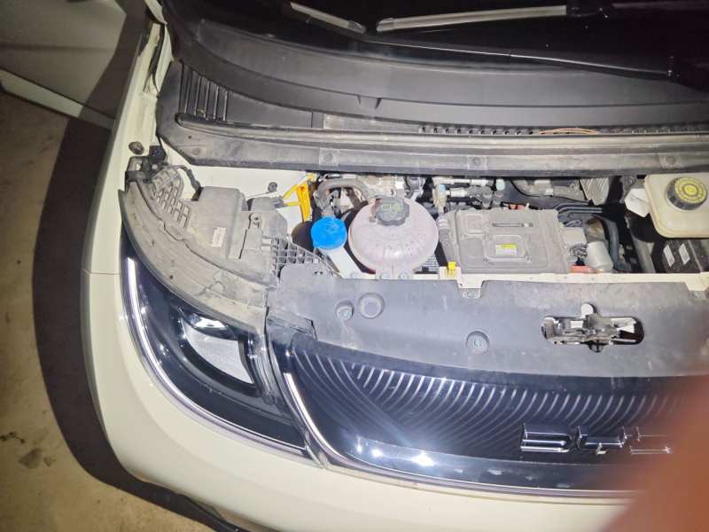 Used BYD Dolphin 2025 420km Free Edition — 25