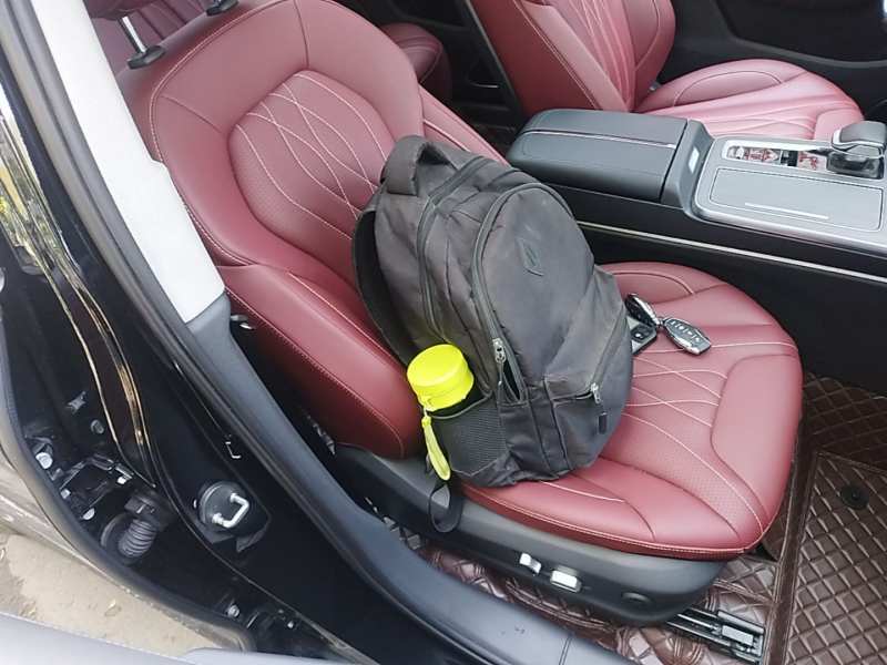 Used Hongqi HS5 2026 Model 2.0T Four-Wheel Drive Qi Xiang Pro Edition — 24