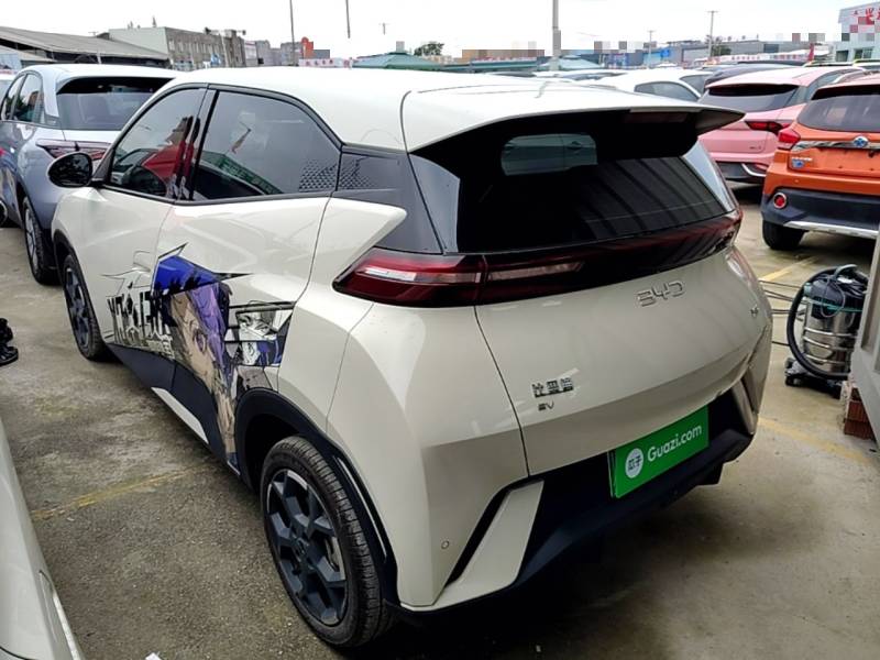 Used BYD Seagull 2024 Honor Edition 305km Freedom Version — 4