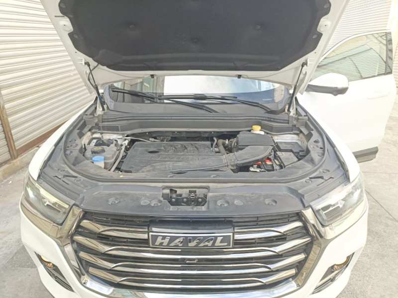 Used Haval H6 2021 National Trend Edition 1.5T Automatic Champion Version — 19