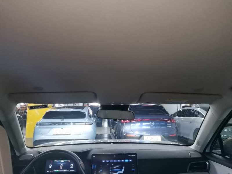 Used BYD Yuan UP 2024 401KM Leading Edition — 17