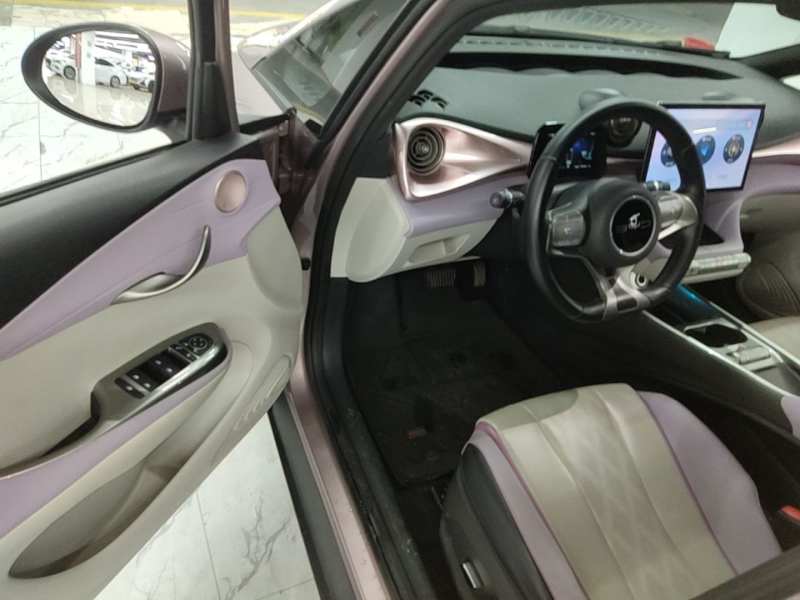 Used BYD Dolphin 2023 420 km Free Version — 15