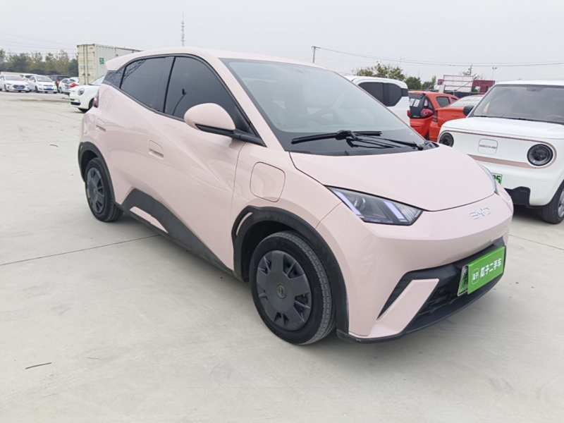 Used BYD Seagull 2024 Honor Edition 305km Dynamic Version — 3