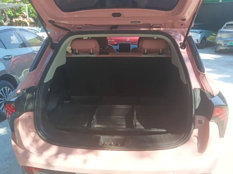 Used NETA V 2022 Chao 400 Lite Pink Custom Edition — 18