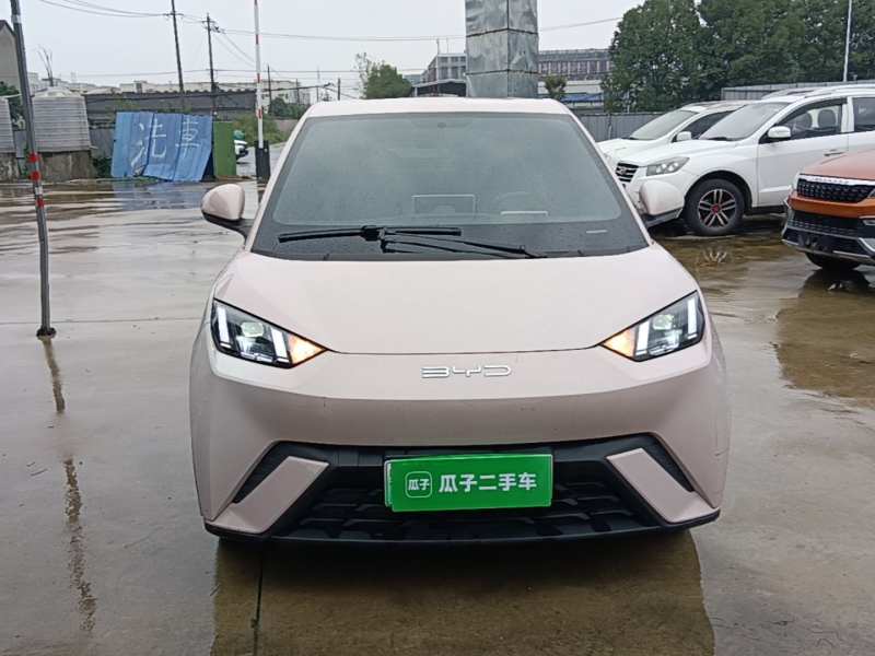 Used BYD Seagull 2024 Honor Edition 305km Freedom Version — 2