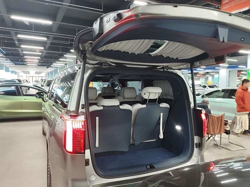 Used Zeekr 009 2022 WE Edition — 18