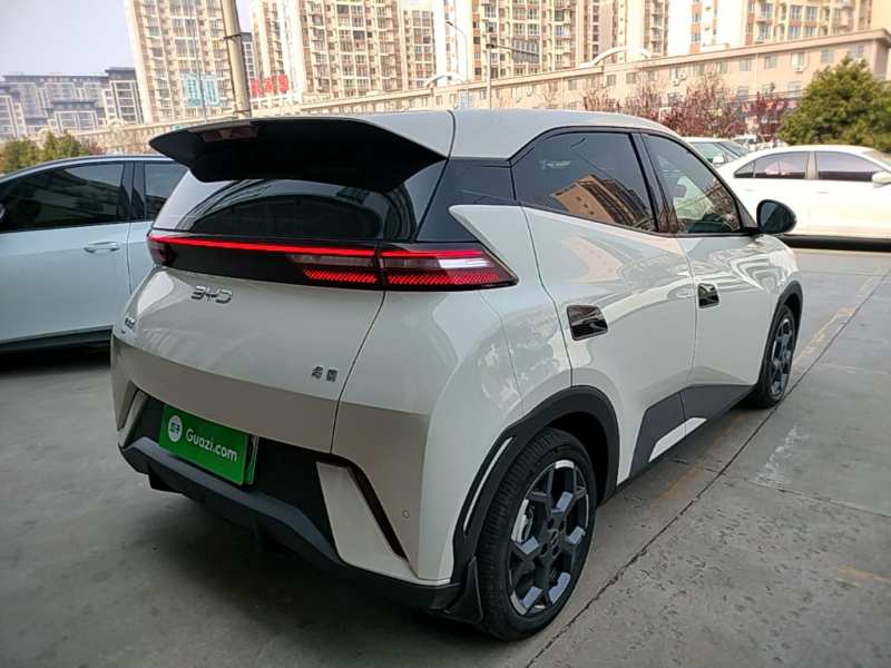Used BYD Seagull 2025 305 km Free Version — 6