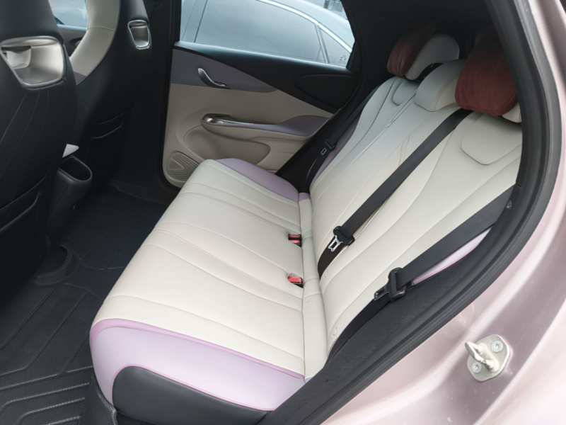 Used BYD Dolphin 2021 401km Knight Edition — 16