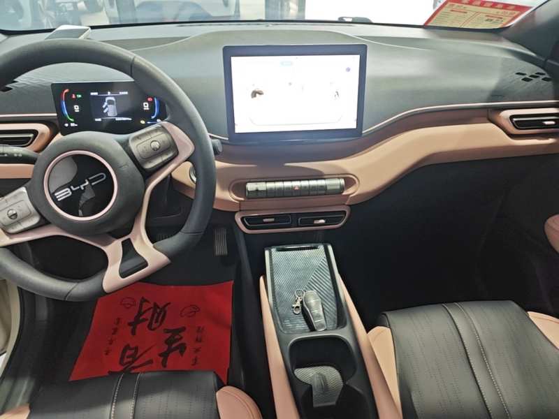 Used BYD Seagull 2023 Active Version — 12
