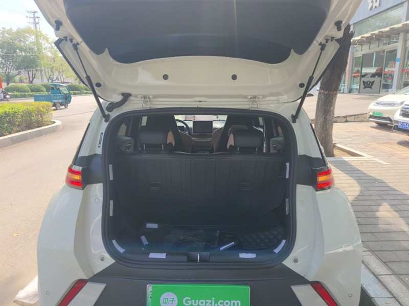 Used BYD Seagull 2023 Free Edition — 18