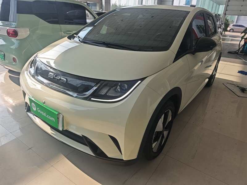 Used BYD Dolphin 2023 420 km Free Version
