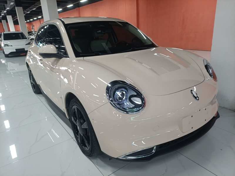 Used ORA Good Cat 2024 401 km Luxury Version — 19