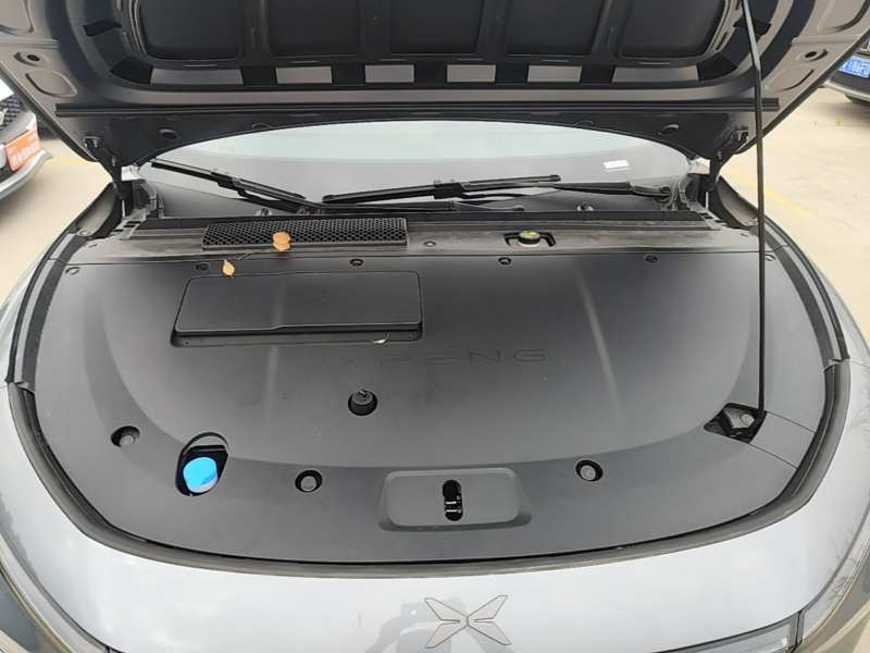Used XPeng P7+ 2024 Long-Range Max — 20