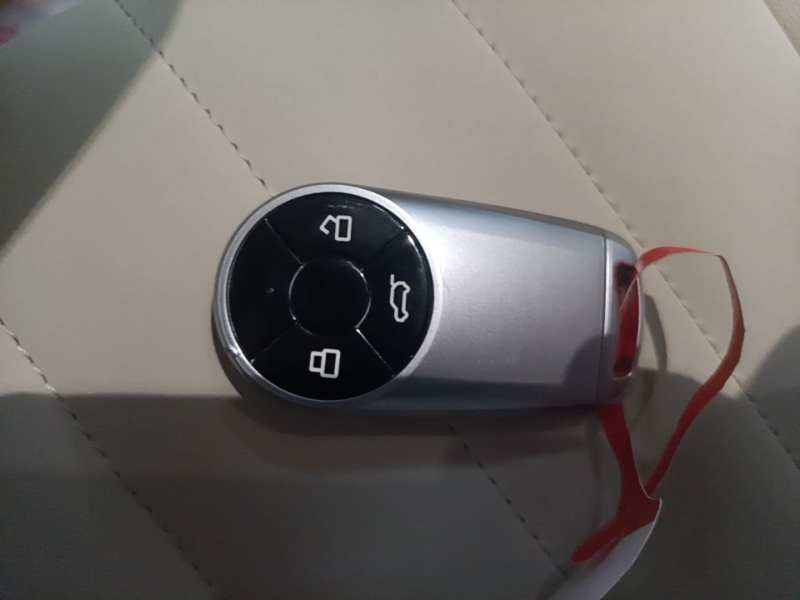 Used ORA Good Cat 2024 401 km Luxury Version — 24