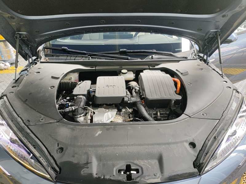 Used BYD Seal 2023 DM-i 1.5T 121km Prestige Model — 19