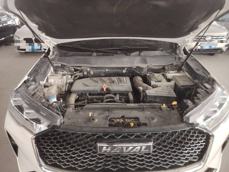 Used Haval H6 2021 3rd Generation 1.5T Automatic Two-Wheel Drive Max — 19