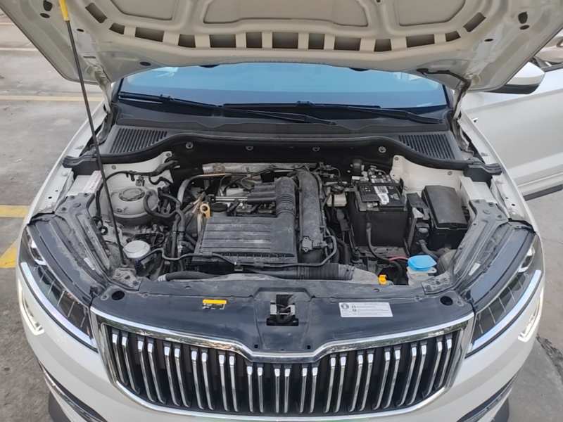 Used Skoda Karoq 2023 TSI280 Premium Edition — 19