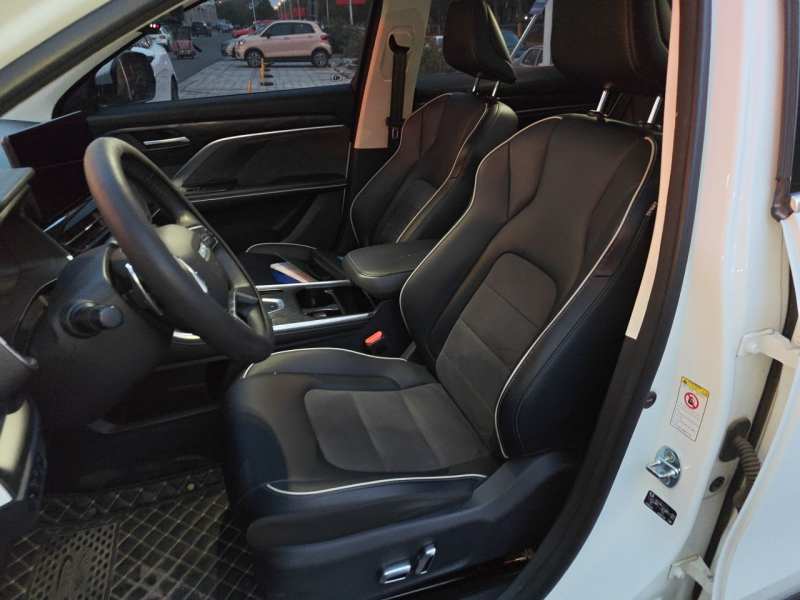 Used Haval H6 2021 National Trend Edition 1.5T Automatic Champion Version — 11