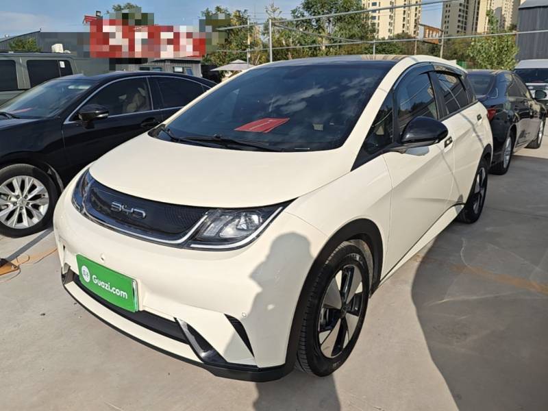 Used BYD Dolphin 2023 420 km Fashion Edition