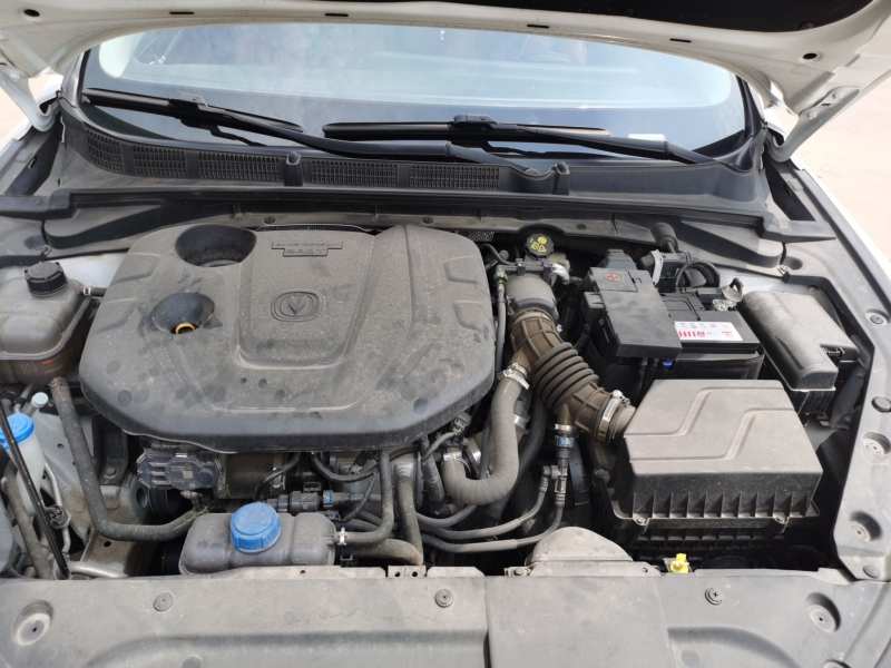 Used CHANGAN Eado 2021 PLUS Blue Whale NE 1.4T GDI DCT Prestige Model — 19