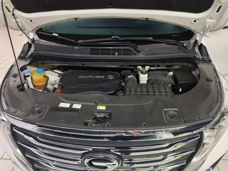Used GAC Trumpchi M8 2020 Flagship Model 390T Prestige Edition — 19