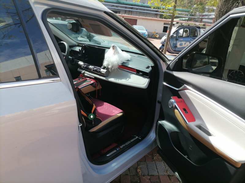 Used GAC Trumpchi EMKOO 2022 1.5T Supernova Pro Edition — 20