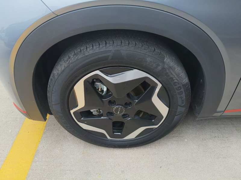 Used BYD Dolphin 2021 405 km Fashion Edition — 22