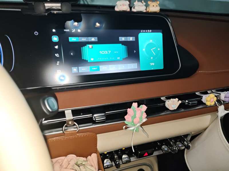 Used ORA Good Cat 2024 401 km Range Luxury Version 135 kW — 9