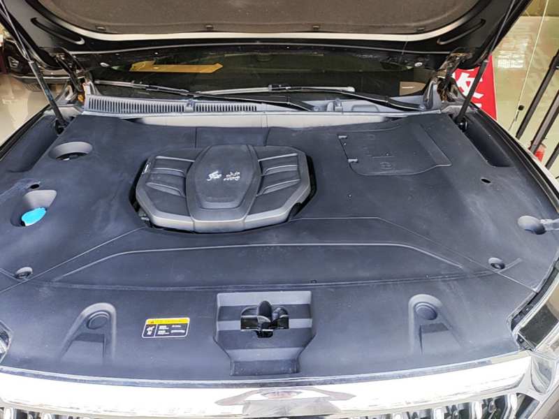 Used Hongqi HS5 2022 Facelifted Version 2.0T Smart Connect Flagship All-Wheel-Drive Edition — 19