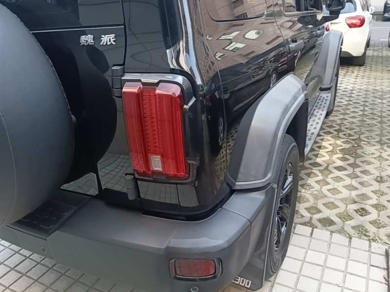 Used Tank 300 2021 Off-Road Edition 2.0T Conqueror — 7