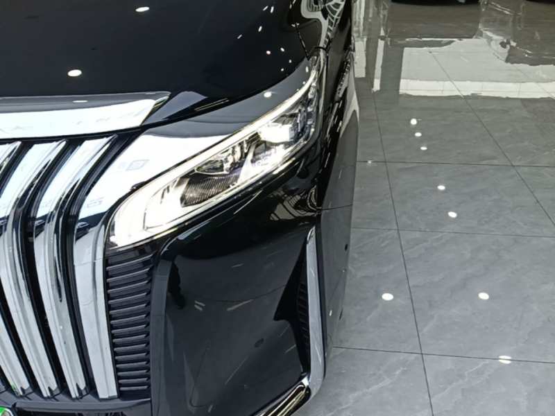 Used Wey Gaoshan 2023 Four-Wheel-Drive Executive Extended Version — 23