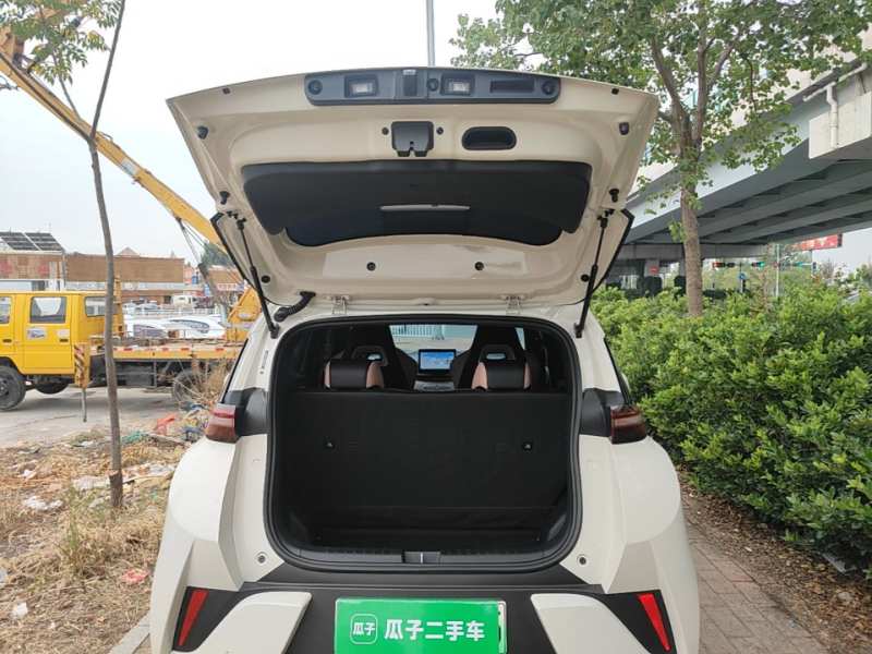 Used BYD Seagull 2025 Intelligent Driving Version 305 km Dynamic Edition — 18