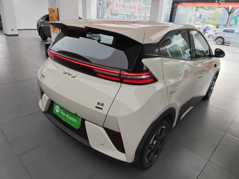 Used BYD Seagull 2025 Smart Drive Version 305 km Freedom Edition — 6
