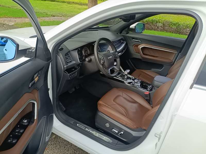 Used Haval H6 2017 Blue Label 2.0T Automatic Two-Wheel Drive Smart Edition — 15