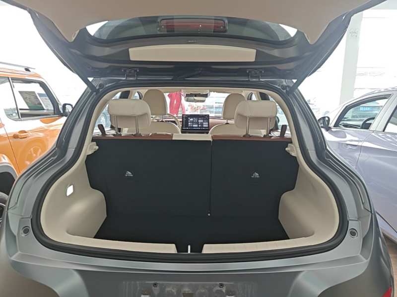 Used ORA Good Cat 2025 Model, 430 km Prestige Version — 18