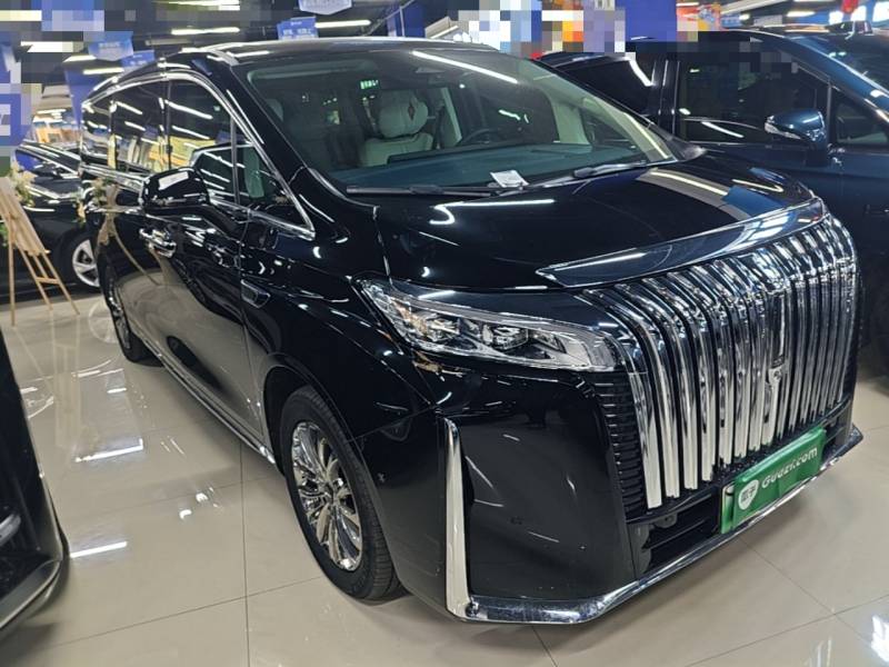 Used Wey Gaoshan 2023 Four-Wheel-Drive Executive Extended Version — 3