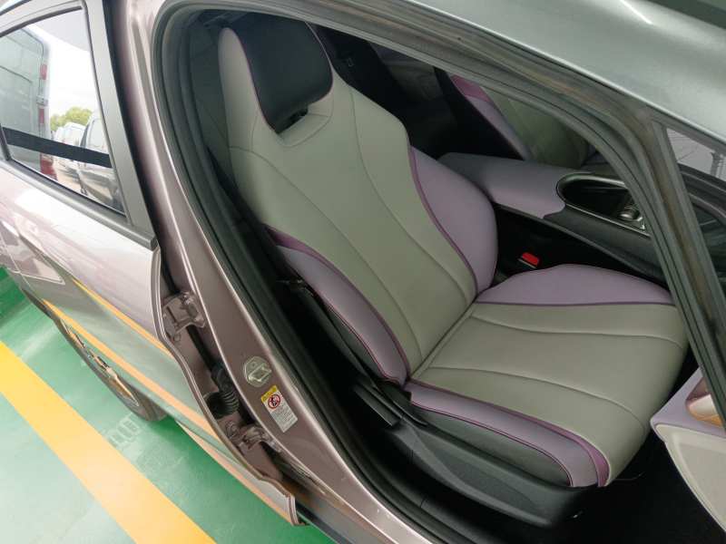 Used BYD Dolphin 2021 405 km Fashion Edition — 24