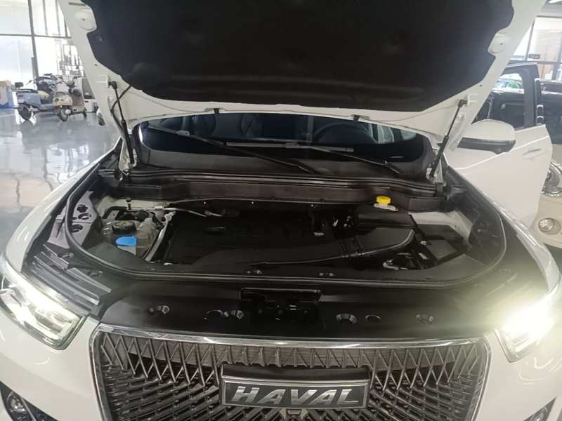 Used Haval H6 2021 1.5T Automatic Champion Edition — 19