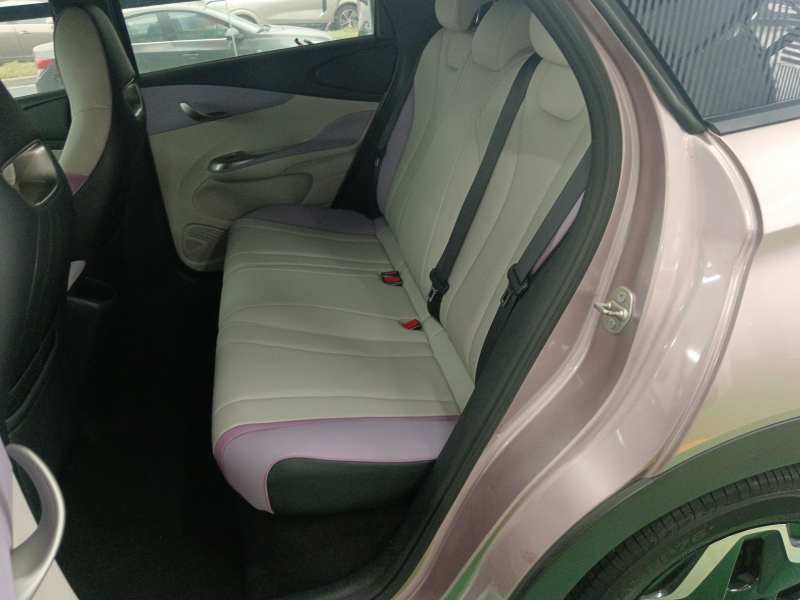 Used BYD Dolphin 2021 405 km Fashion Edition — 16