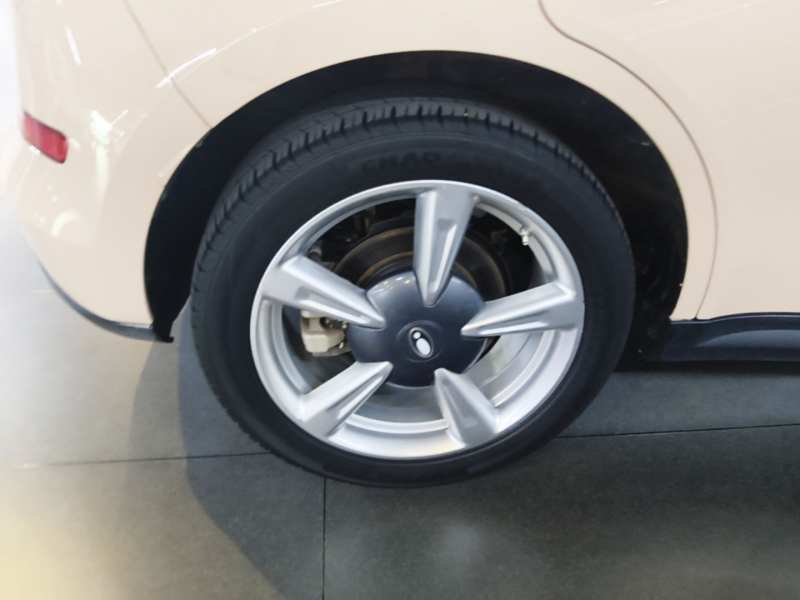 Used ORA Good Cat 2023 401 km Standard Range Luxury Version Lithium Iron Phosphate — 25