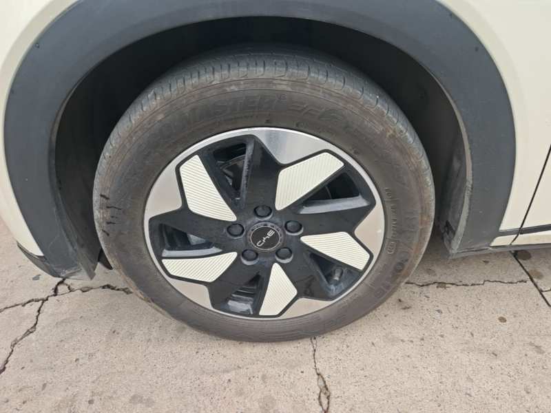 Used BYD Dolphin 2025 420km Free Edition — 22