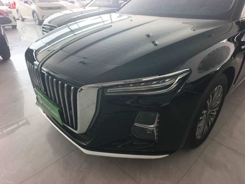 Used Hongqi H5 2024 2.0T Automatic Smart Connect Flagship Edition – Chinese Trim Xiang — 23
